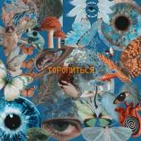 Ray! - Торопиться