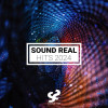 Various Artists - Sound Real Hits 2024