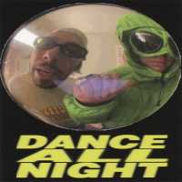 DJ Stonik1917,  Прыгай киска - Dance All Night