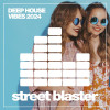 Various Artists - Deep House Vibes 2024