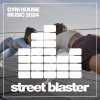 Various Artists - Gym House Music 2024
