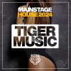 Various Artists - Mainstage House 2024