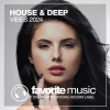 Various Artists - House & Deep Vibes 2024