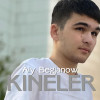 Aly Begjanow - Kineler