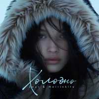 Zaur & Meirinkito - Холодно