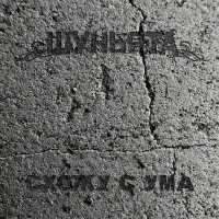 Шуньята - Схожу с ума