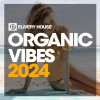Various Artists - Organic Vibes 2024