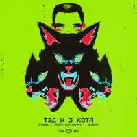 Symbol, Pra(Killa'Gramm), SHURAA - Тэд и 3 кота