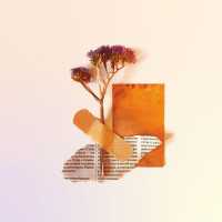 sun seduction - оттепель