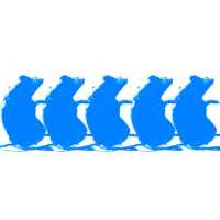 Schokk - ВАГАБУНД