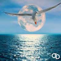 DESMIND - Sky