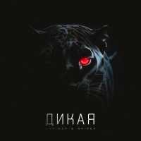 SKRIMER & NAIREX - Дикая