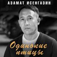 Азамат Исенгазин - Одинокие птицы