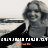 Rashad RC, Nuri Serinlendirici - Dilim Susar Yanar İçim