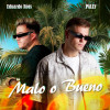Eduardo Ross, PALLY - Malo o Bueno