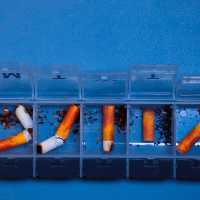 Good Boy Daisy - Remedy