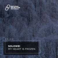 SOLOWEI - My Heart Is Frozen