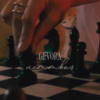 GEVORA - неттвоя