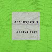 Созвездие N - Зелёный трек