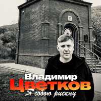 Владимир Цветков - Я собою рискну