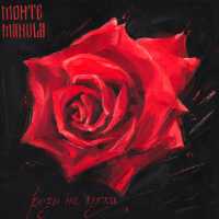 Monte&Manula - Розы на куски