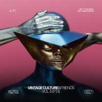 Vintage Culture, Roddy Lima - Analog Ascent