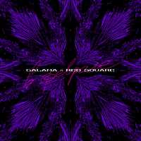 Galama, Red Square - В феврале