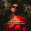 Alexara, Alex Van Sanders - Let You Go