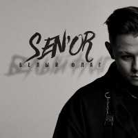 SEN'OR - Снег с дождём