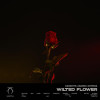 Kaskeiyp, ANANEV, KOYSINA - Wilted Flower
