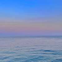 Press2p - Jimmy Choo