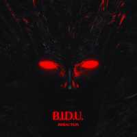 Infraction - B.I.D.U.