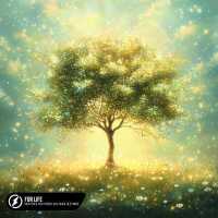 Boostereo, Rich Fayden, Alis Shuka, Deep Mage - For Life