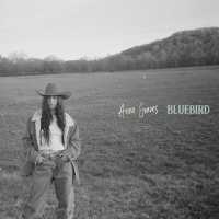 Anna Graves - Bluebird