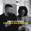 TURAL EVEREST - Unuda Bilmirem