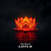 Tim Dian - Lotus
