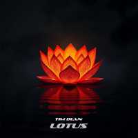 Tim Dian - Lotus