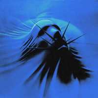 Роки, aikko - Задыхаюсь