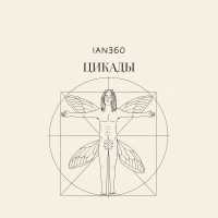 ian360 - Цикады