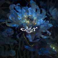 ask eternity - rebirth