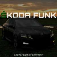 BXBYSPESH, ASTRXNXM - SKODA FUNK