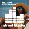 Various Artists - Chill House Essentials 2025