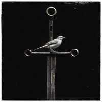 Daomi - Смутьян