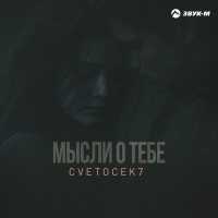 Cvetocek7 - Мысли о тебе