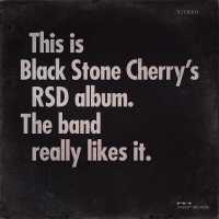 Black Stone Cherry - What's Love Got To Do With It