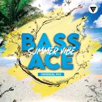 Bass Ace - Summer Vibe