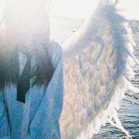 Psychosis, weeklyn - heaven