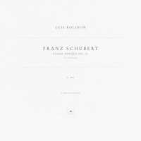 Franz Schubert, Luis Kolodin - Piano Sonata No. 21 in B-Flat Major, D. 960: II. Andante sostenuto