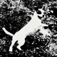 Edmondson - Ladywell Limón