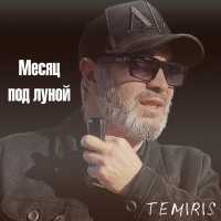 Temiris - Месяц под луной